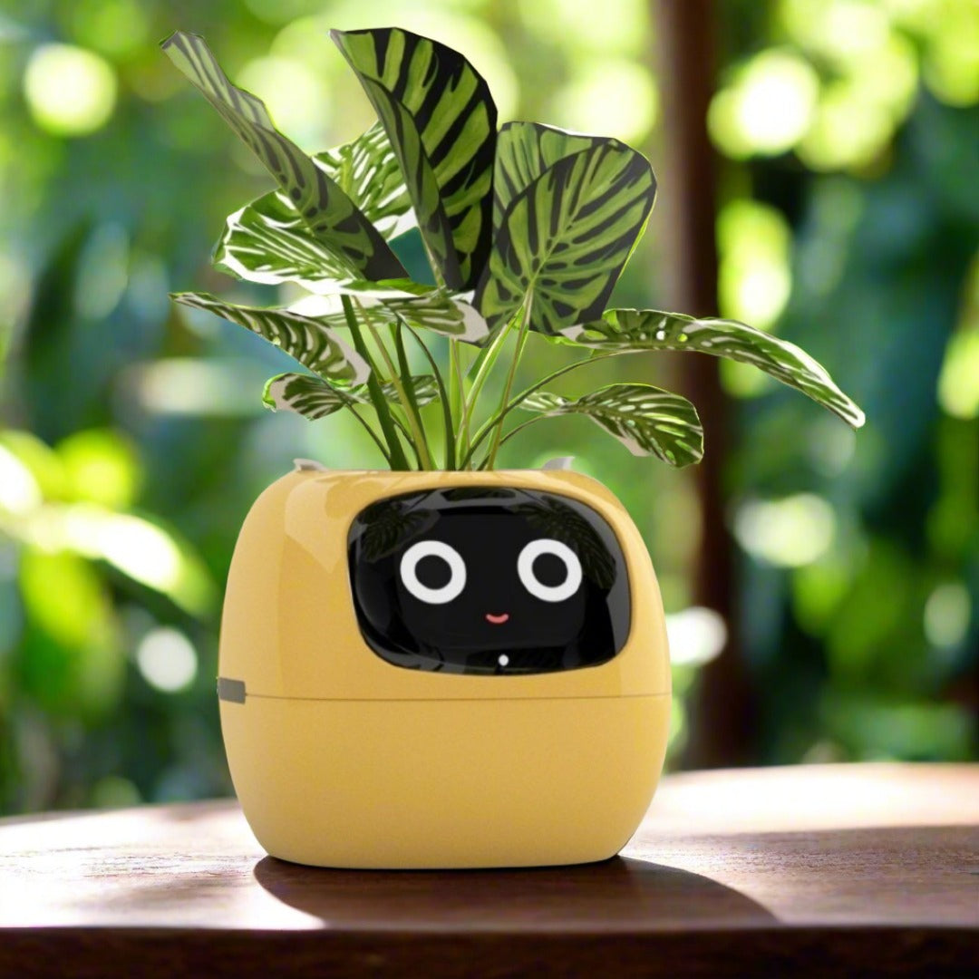 PflanzenRobo Intelligenter Blumentopf mit Gesichtsausdruckskontrolle